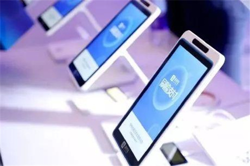 刷脸支付项目的组成部分有哪些？代理商在里面充当什么角色？